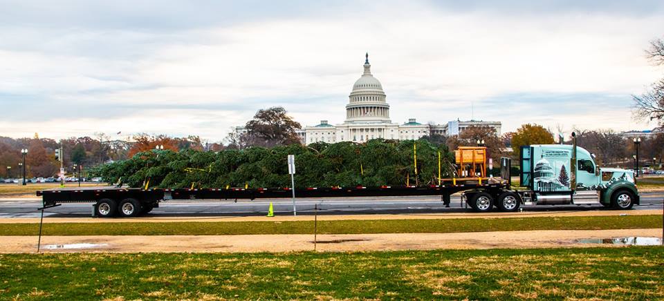 U.S. Capitol